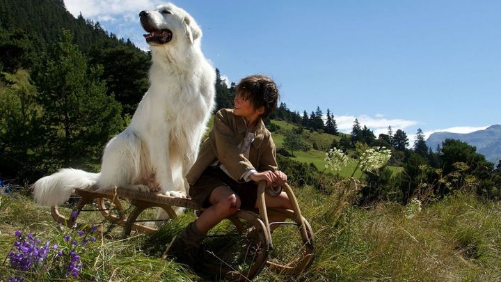 Una scena tratta dal film Belle & Sebastien - L'avventura continua