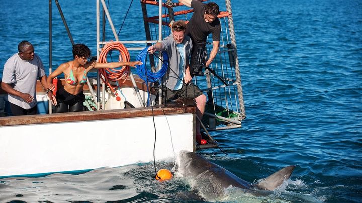 Una scena tratta dal film Dark Tide