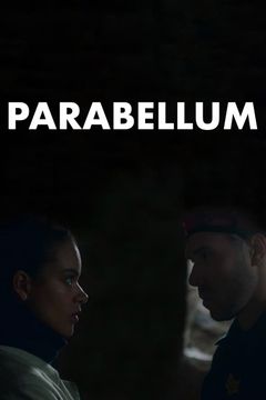 Locandina Lo stagista pericoloso