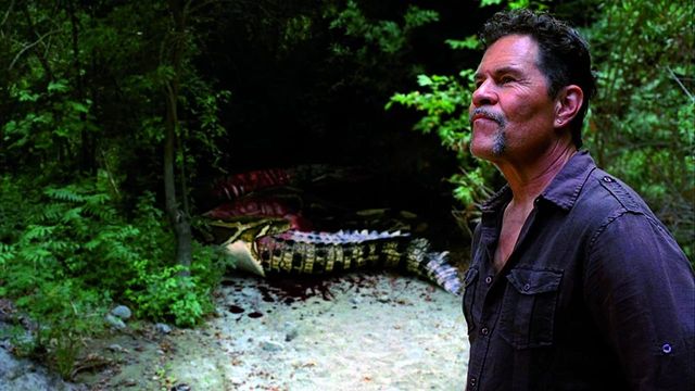 Una scena tratta dal film Mega Python vs. Gatoroid