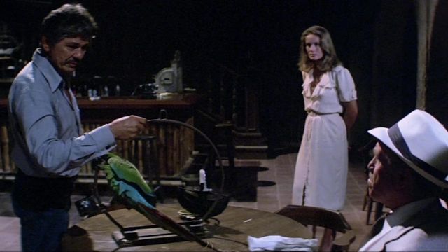 Una scena tratta dal film Caboblanco