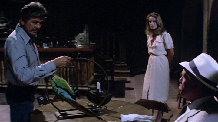 Una scena tratta dal film Caboblanco