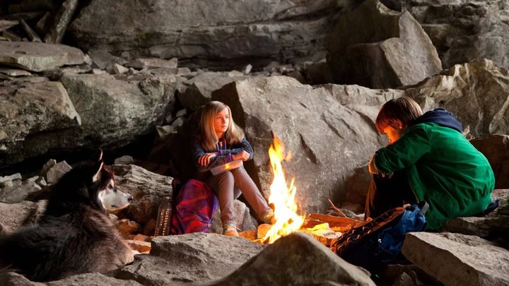 Una scena tratta dal film Against the Wild