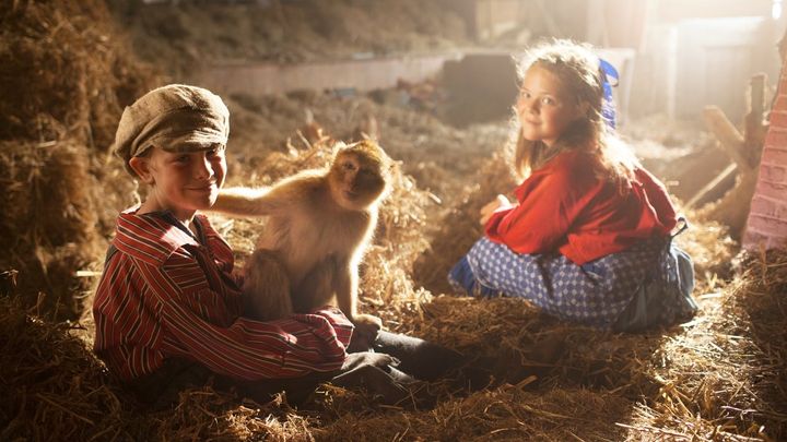 Monkey Business - Una scimmietta dispettosa, cast e trama film - Super  Guida TV