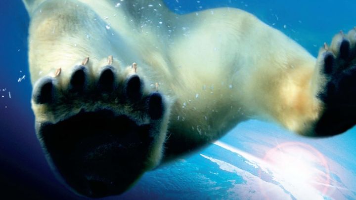 Una scena tratta dal film Earth - La nostra terra