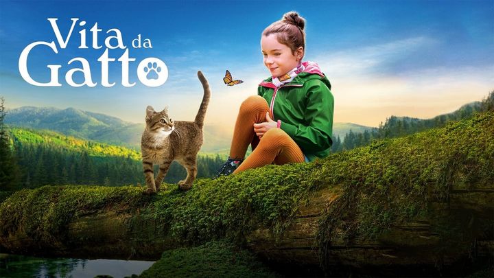 Una scena tratta dal film Vita da gatto