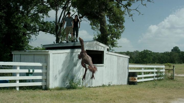 Una scena tratta dal film Terror Birds