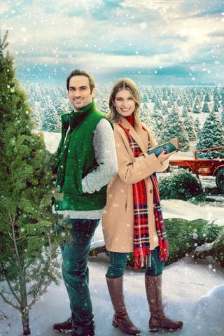 L'albero della mia famiglia