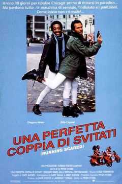 Locandina Una perfetta coppia di svitati