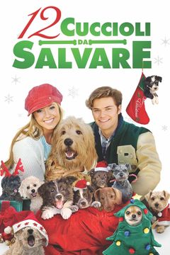 Locandina 12 cuccioli da salvare