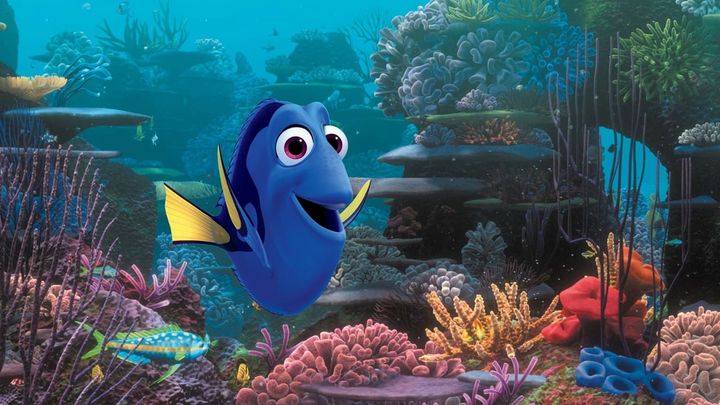 Una scena tratta dal film Alla ricerca di Dory