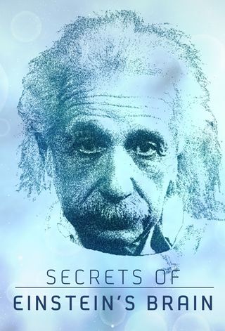 Einstein - Il supercervello