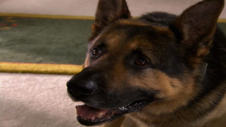 Una scena tratta dal film Asso di cuori