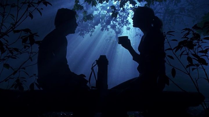 Una scena tratta dal film Maial Campers - Porcelloni al campeggio