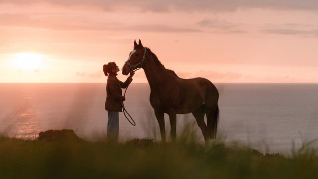 Una scena tratta dal film Rosamunde Pilcher: Jahrestag
