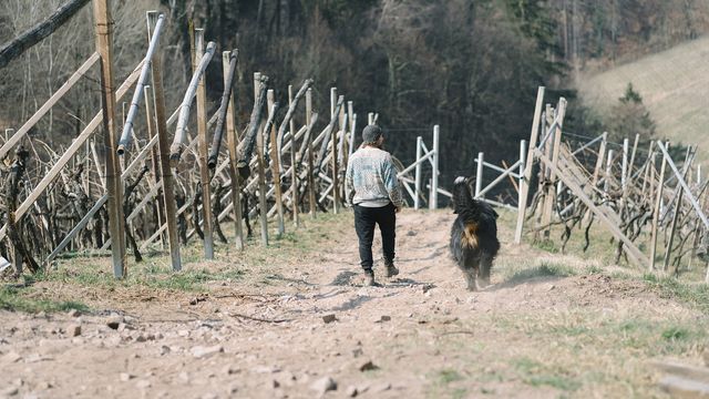 Una scena tratta dal film Rispet