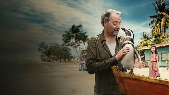 Una scena tratta dal film Il mio amico pinguino