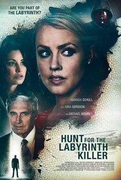 Locandina Nel labirinto del serial killer