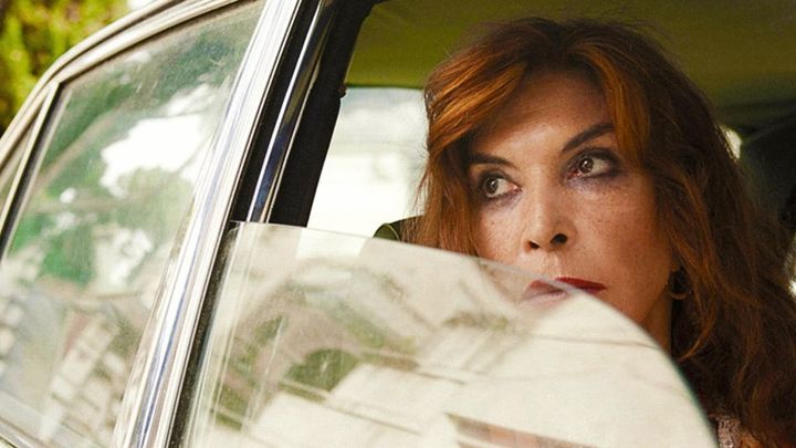 Una scena tratta dal film Leone nel basilico