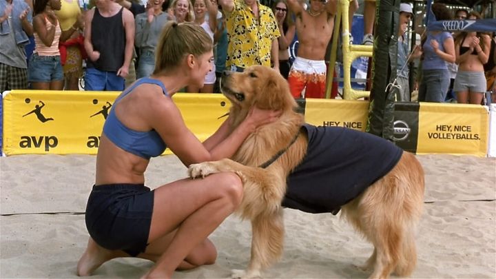 Una scena tratta dal film Air Bud 5 - Un amico dal tocco magico