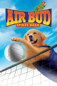 Locandina Air Bud 5 - Un amico dal tocco magico