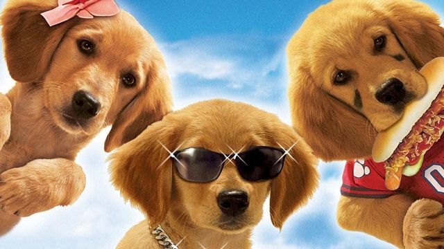 Una scena tratta dal film Air Buddies - Cuccioli alla riscossa