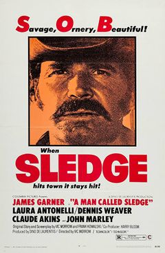Locandina Sledge