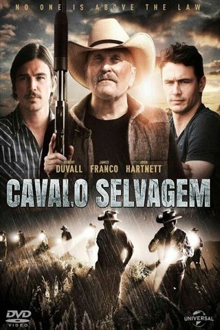 Cavalli selvaggi
