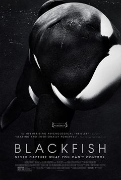 Locandina Blackfish