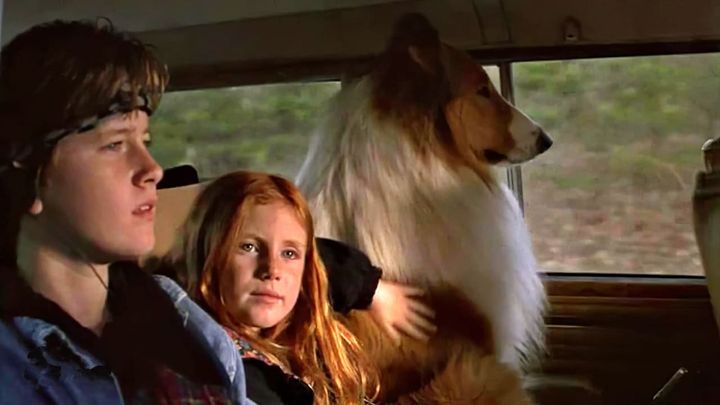 Una scena tratta dal film Lassie