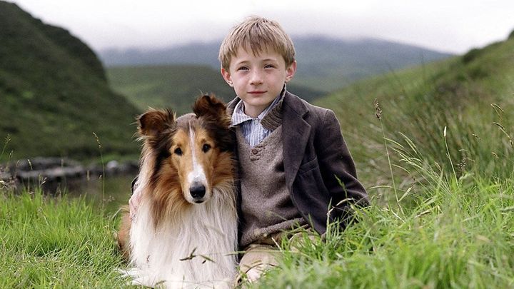 Una scena tratta dal film Lassie