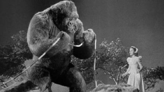 Una scena tratta dal film Il re dell'Africa