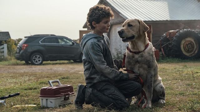 Una scena tratta dal film Blood