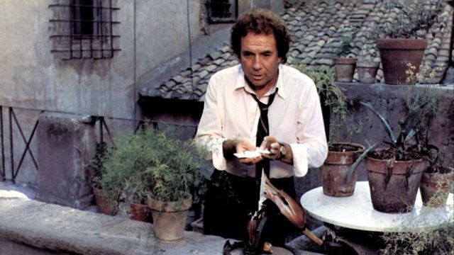 Una scena tratta dal film Il gatto