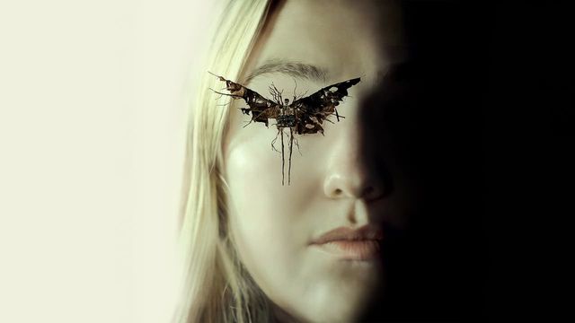 Una scena tratta dal film The Watchers - Loro ti guardano