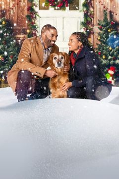 Locandina Amore a Beacon Hills