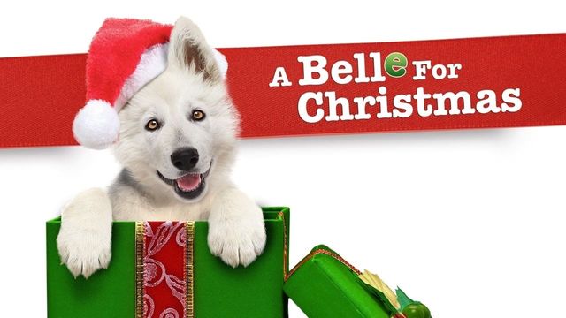 Una scena tratta dal film Natale a 4 zampe