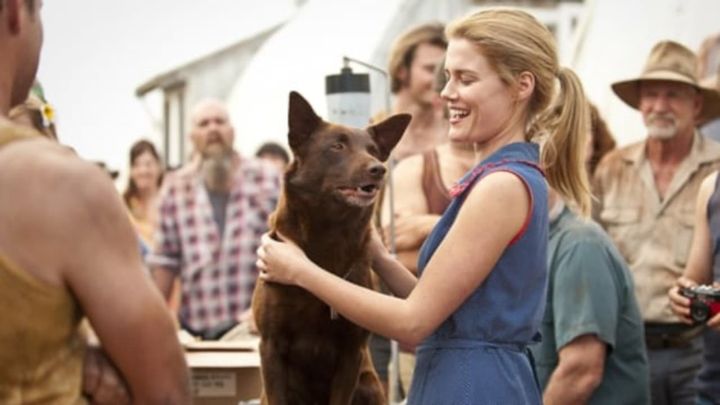 Una scena tratta dal film Red Dog