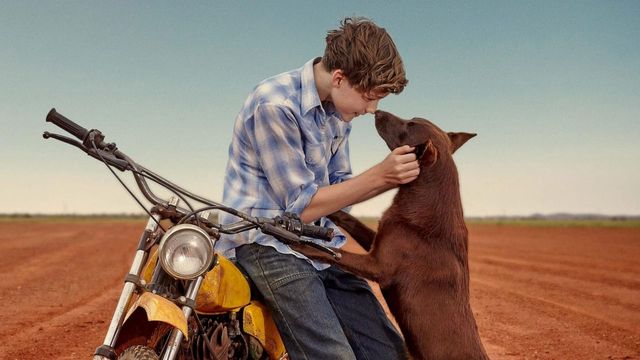 Una scena tratta dal film Red Dog: L'inizio