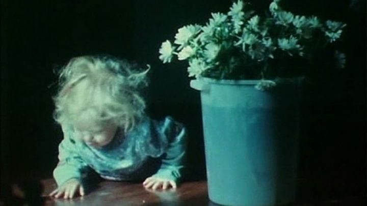 Una scena tratta dal film As I Was Moving Ahead Occasionally I Saw Brief Glimpses of Beauty