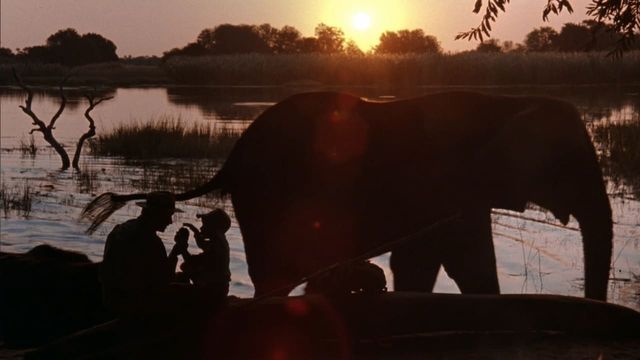 Una scena tratta dal film La forza del singolo