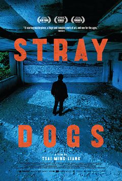 Locandina Stray Dogs