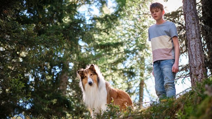 Una scena tratta dal film Lassie - Una nuova avventura