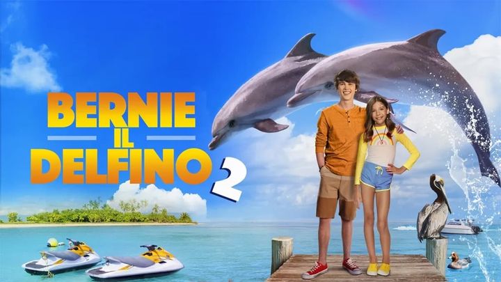 Una scena tratta dal film Bernie il delfino 2
