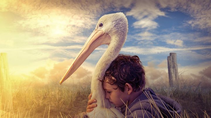 Una scena tratta dal film Storm Boy - Il ragazzo che sapeva volare