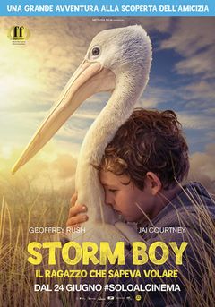 Locandina Storm Boy - Il ragazzo che sapeva volare