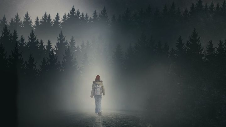 Una scena tratta dal film La ragazza nella nebbia