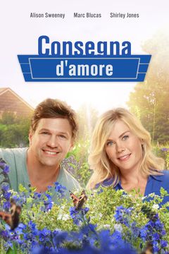 Locandina Consegna d'amore