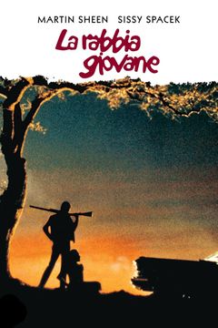 Locandina La rabbia giovane