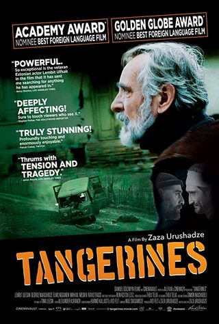 Tangerines - Mandarini